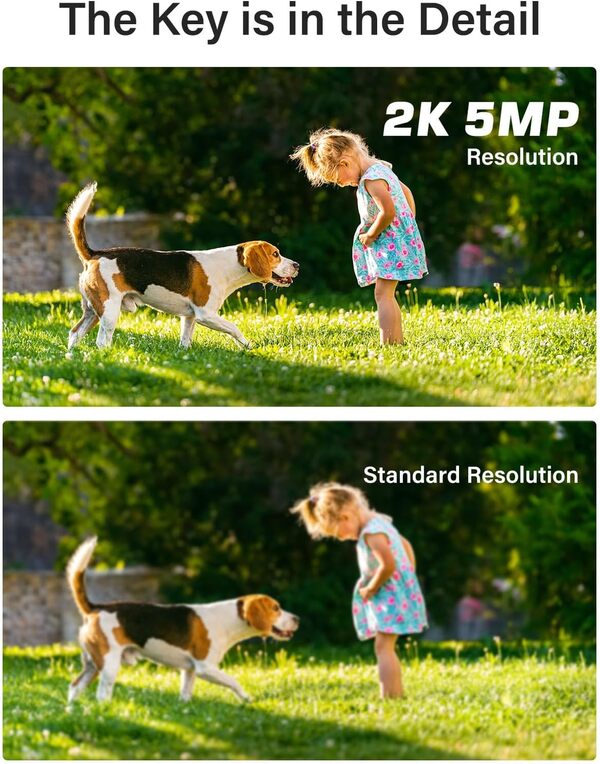 ANNKE Kit de Surveillance Extérieures Filaires,8CH 3K DVR avec Disque Dur 2TO, Détection de Personne/Véhicule,8 x Caméras de Vidéosurveillance de 5MP, Vision Nocturne de 100ft, Accès à Distance