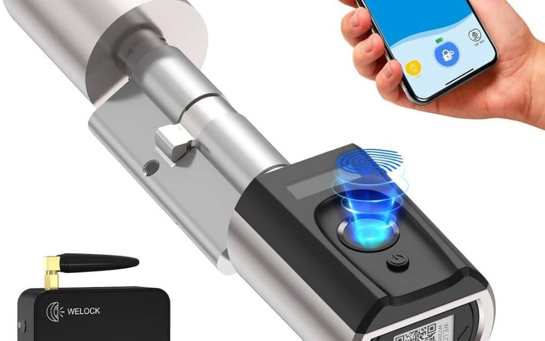 Test de la serrure biométrique Ruilon avec WIFIBOX IP65