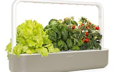 Test : potager connecté Click & Grow Smart Garden 9 capsules