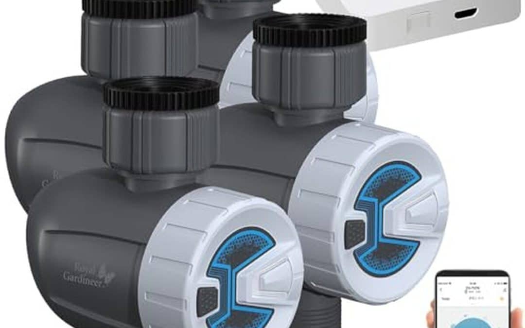 Test : programmateur connecté BWC-520.bt Royal Gardineer