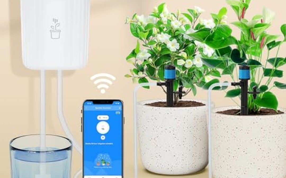Test : dispositif d'arrosage intelligent GreenVation WiFi